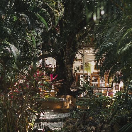 Griss Lodge & Spa Playa Santa Teresa  ภายนอก รูปภาพ