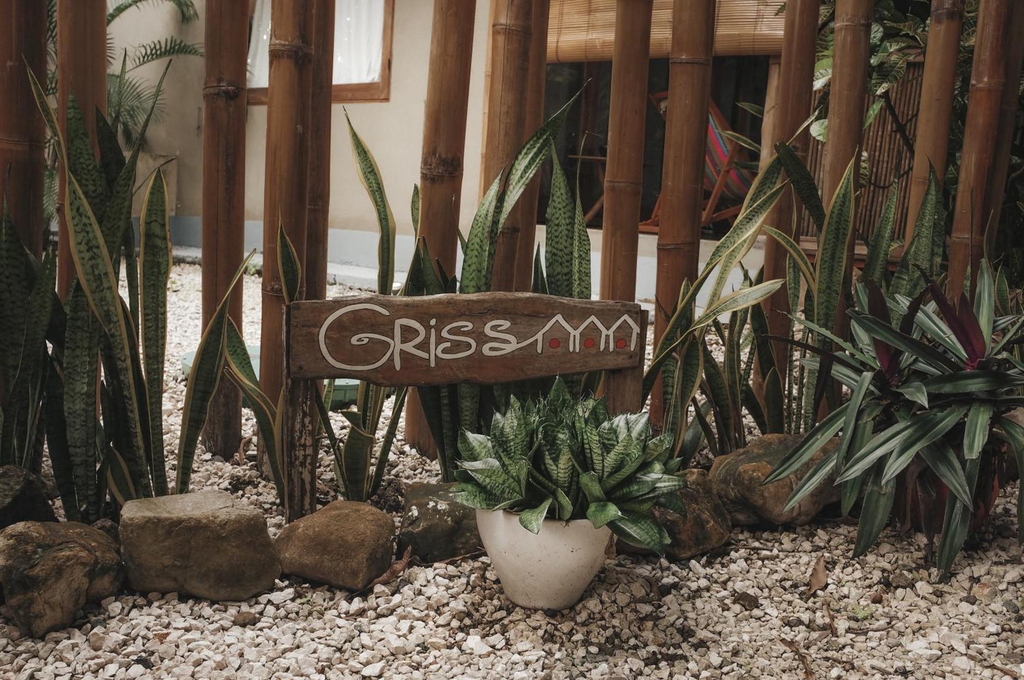Griss Lodge & Spa Playa Santa Teresa  ภายนอก รูปภาพ