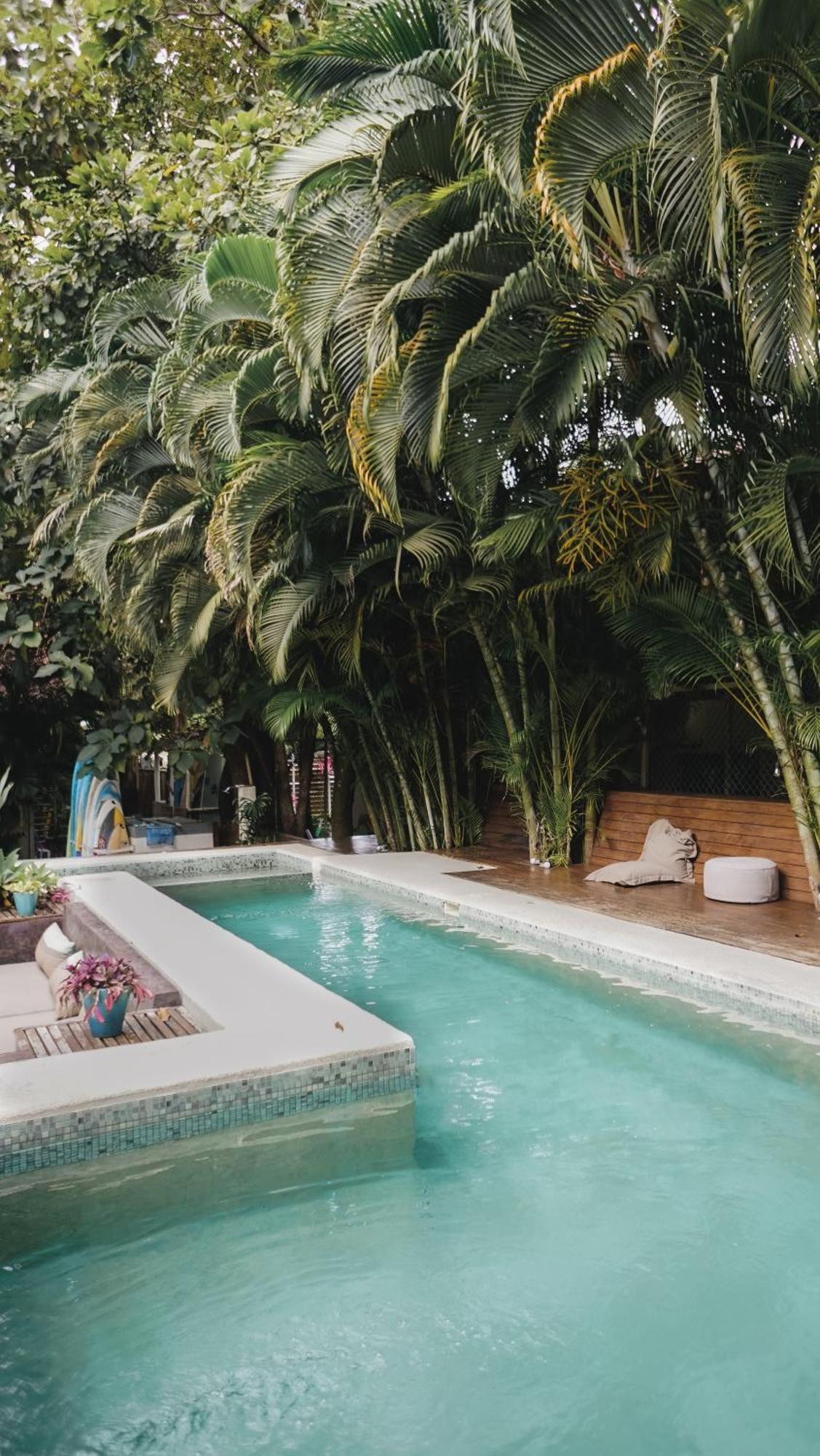 Griss Lodge & Spa Playa Santa Teresa  ภายนอก รูปภาพ