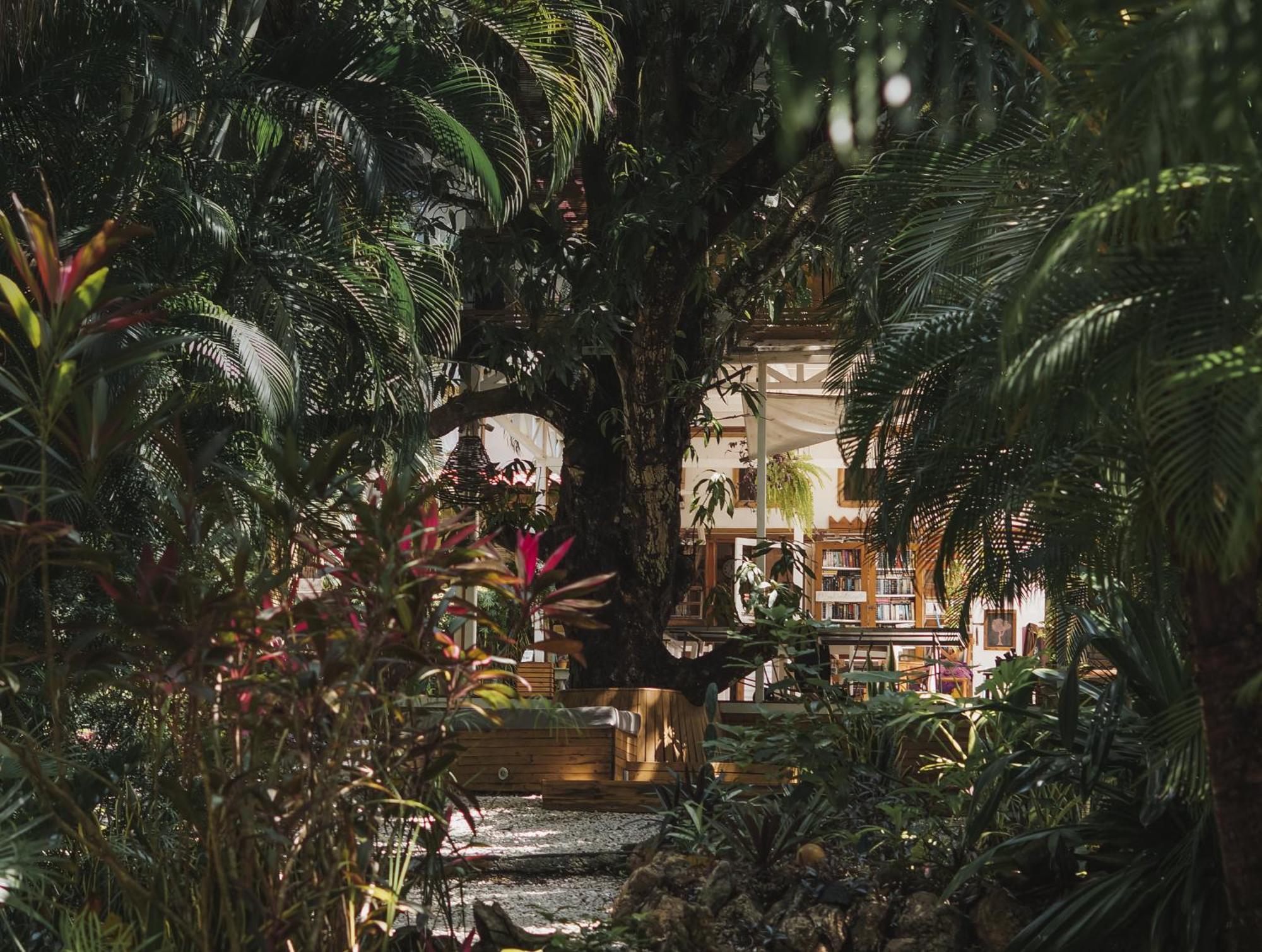 Griss Lodge & Spa Playa Santa Teresa  ภายนอก รูปภาพ